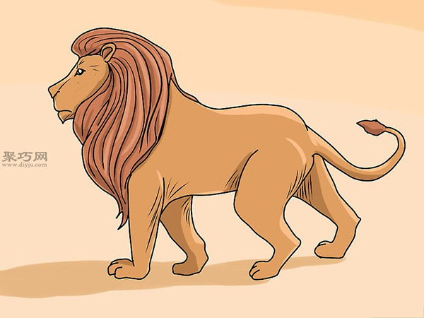 普通狮子的画法 来看怎样画狮子