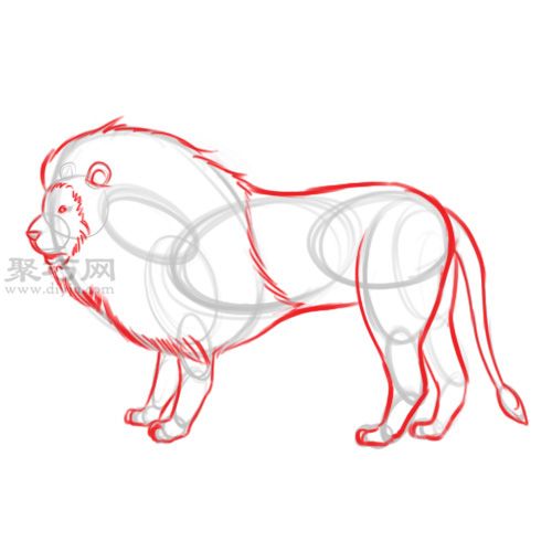 画狮子的侧面画法教程 8