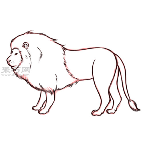 画狮子的侧面画法教程 9 1