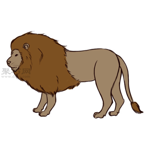 画狮子的侧面画法教程 10 1