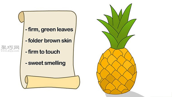 如何种菠萝 1