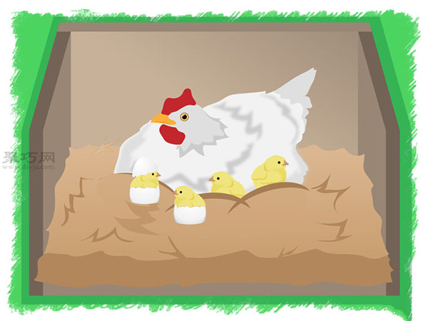 怎样使用抱窝母鸡孵小鸡 一起学孵化鸡蛋步骤