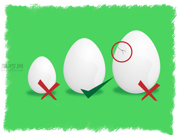 怎么样选择孵化蛋方法