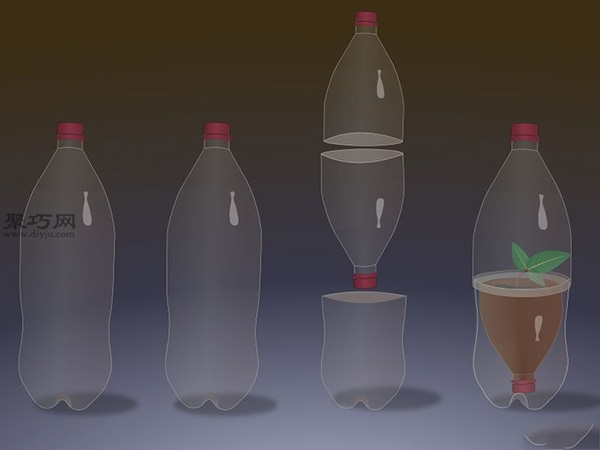用瓶瓶罐罐来制作迷你温室教程 4