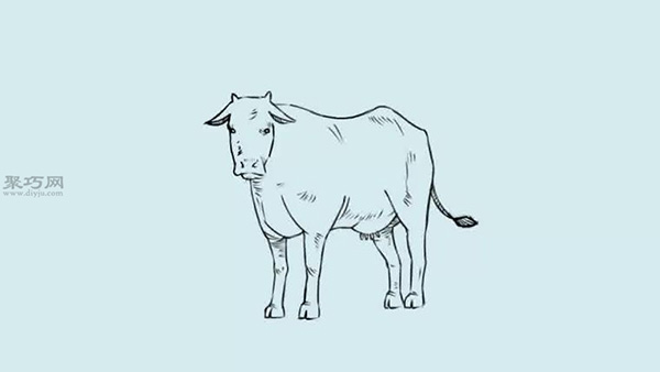 画现实风格的奶牛的步骤