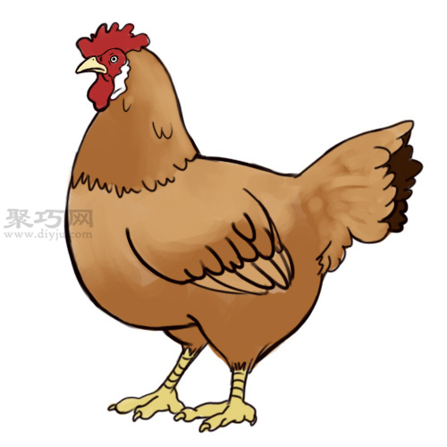 传统公鸡画法教程 来看怎样画公鸡