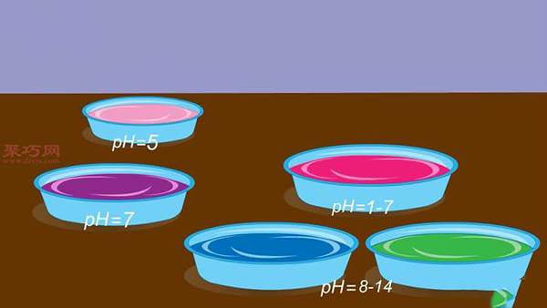 怎样测量土壤pH 用紫甘蓝测量土壤pH图片教程