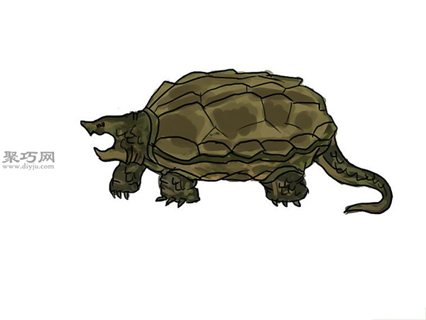 画鳄龟画法步骤 一起学如何画乌龟