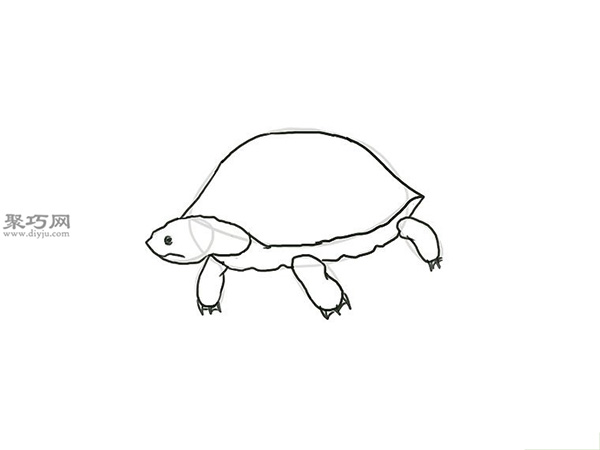 画绿色的乌龟画法教程 5