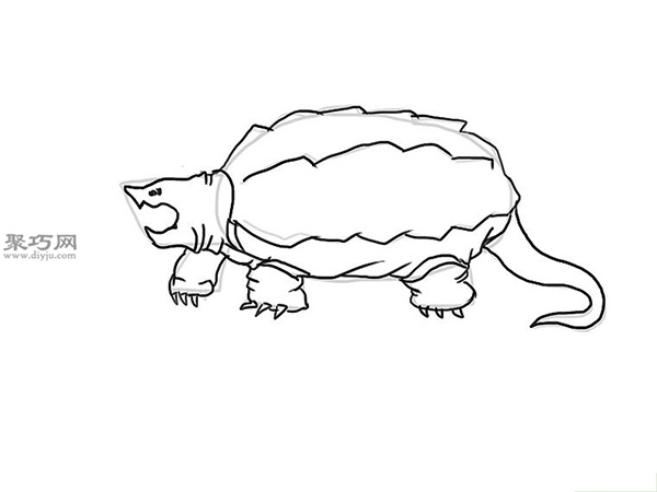画鳄龟画法步骤 14