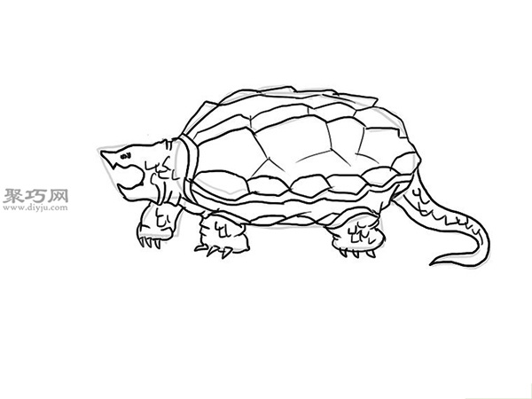 画鳄龟画法步骤 15