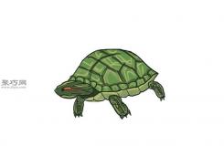 画绿色的乌龟画法教程 教你怎么画乌龟