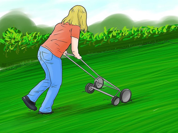 如何使用自然方法消除草坪和庭院的恙螨 1