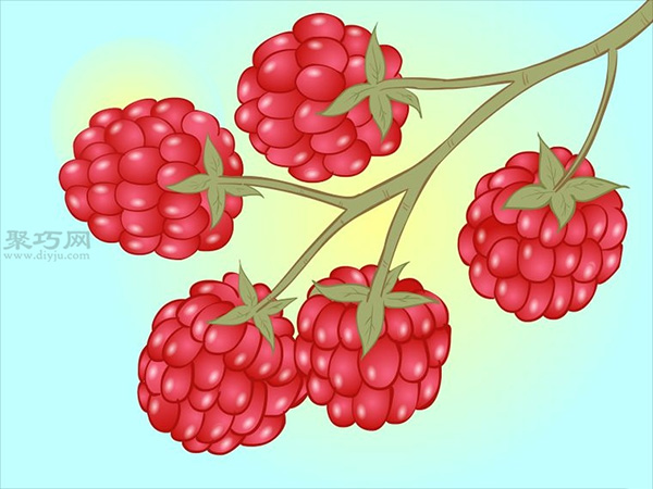 种植树莓步骤 5