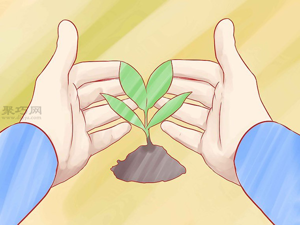 怎样种植香草 一起学种植香草步骤