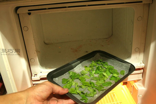 如何在冷冻室里存放新鲜香菜 10
