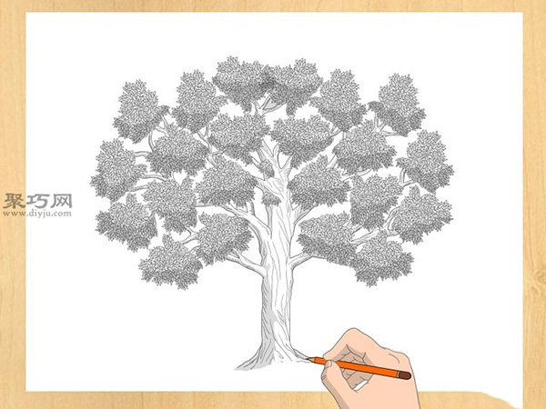 一棵树的画法 4
