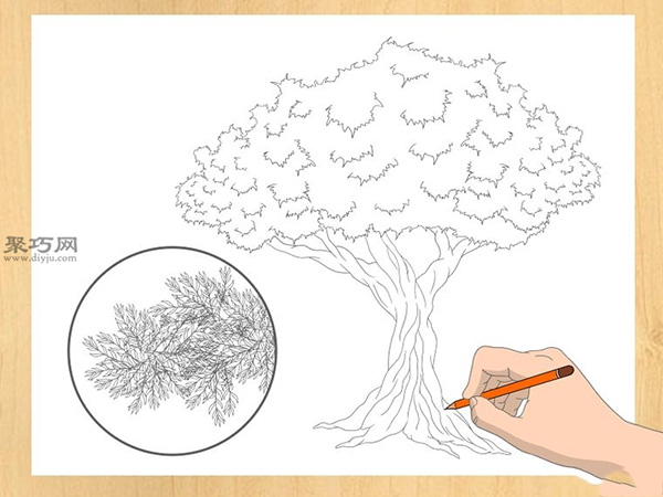 画水果树的步骤 一起学如何画树