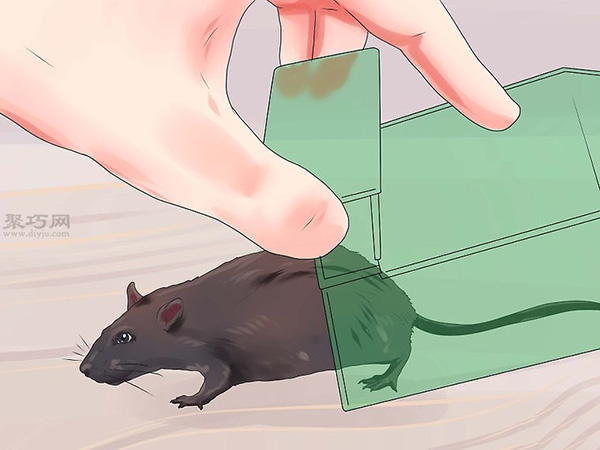 驱走屋里的老鼠图解教程 4