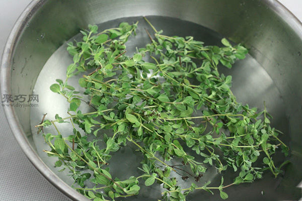 烹调植物的简易快速干燥法干燥草本植物教程图解 7
