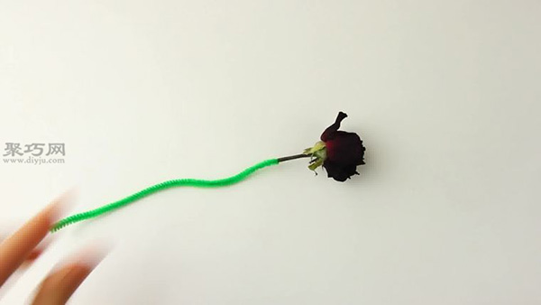 用微波炉烘干玫瑰花干教程 教你如何DIY玫瑰花干