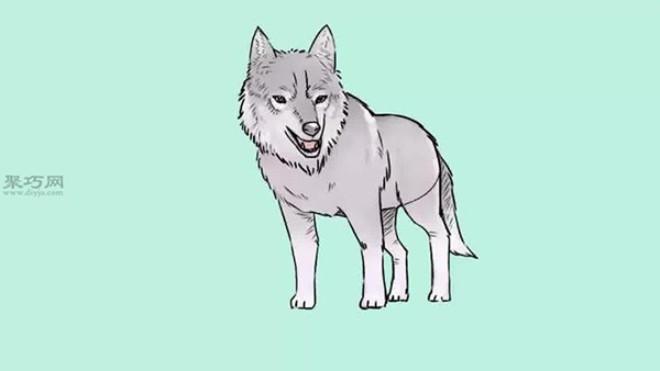 画狼的简笔画的步骤 一起学如何画狼