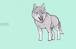 画狼的简笔画的步骤 一起学如何画狼