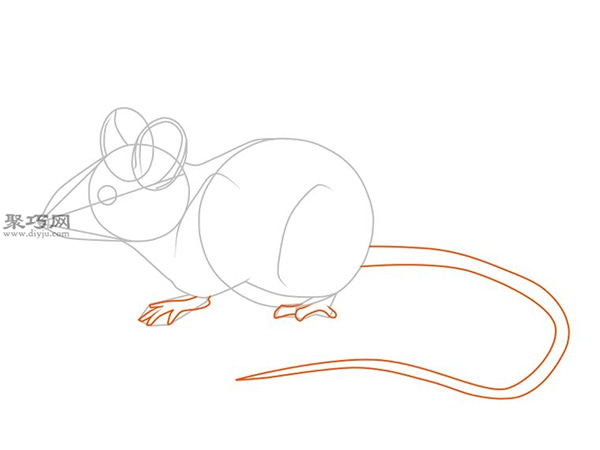 画传统老鼠的步骤 13
