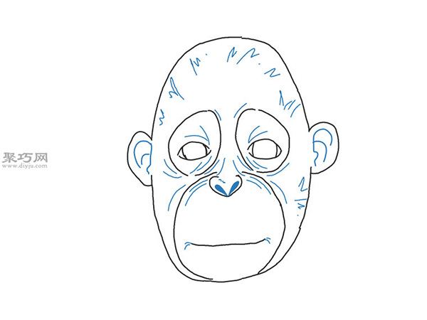 写实风格的猴脸画法教程 7