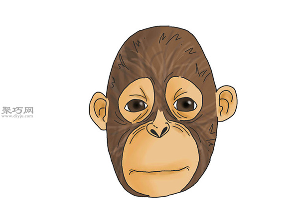 写实风格的猴脸画法教程 教你怎么画猴子