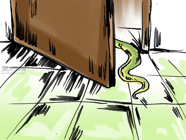怎样捉室内的蛇 3