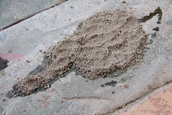 用猫砂吸油清除车道上的油渍图片教程 5