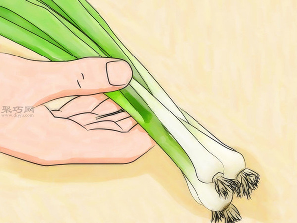 如何从种子或球茎种植葱 教你种植大葱的方法