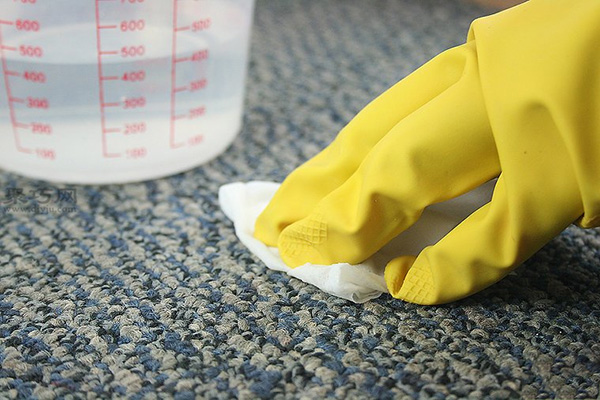 如何使用清洁用品去除地毯的唇膏 8