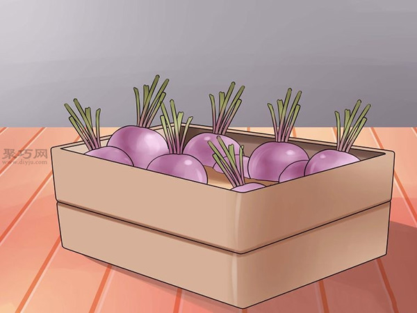 栽种甜菜方法 12