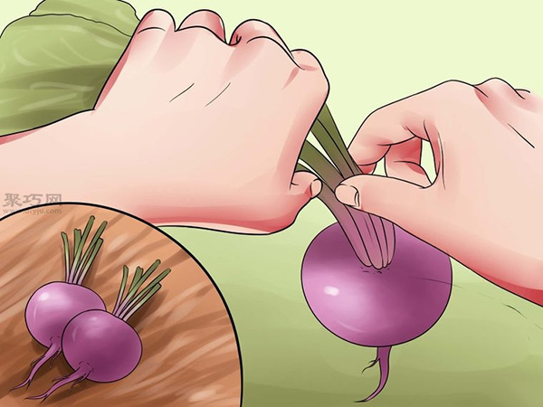 栽种甜菜方法 11