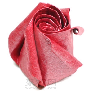 五瓣螺旋玫瑰花简单折纸教程图解