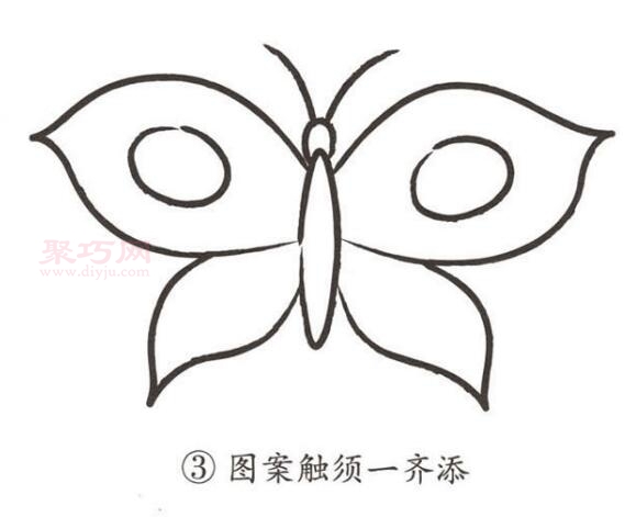 蝴蝶画法第3步