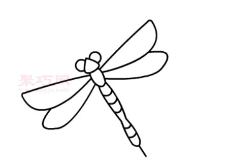 蜻蜓画法第5步