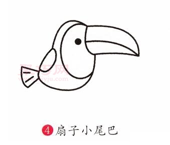 巨嘴鸟画法第4步