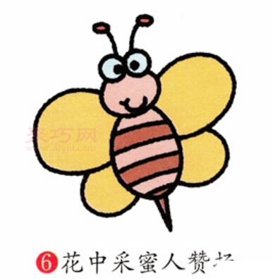 蜜蜂画法第6步