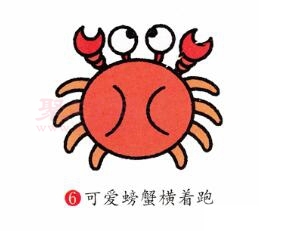 螃蟹画法第6步