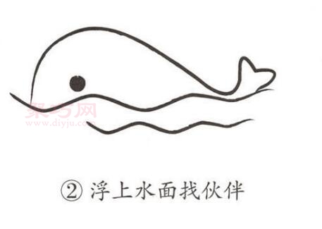 鲸鱼画法第2步