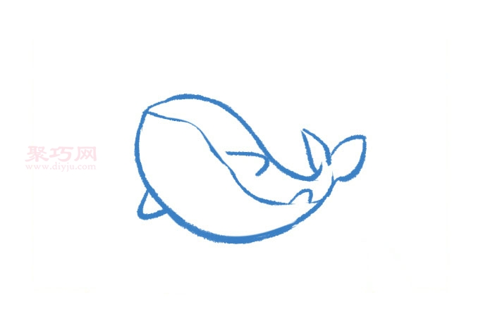 Q版虎鲸画法第3步