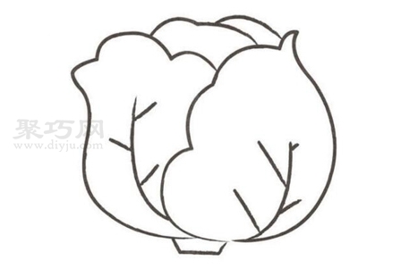 如何画卷心菜最简单 卷心菜简笔画画法