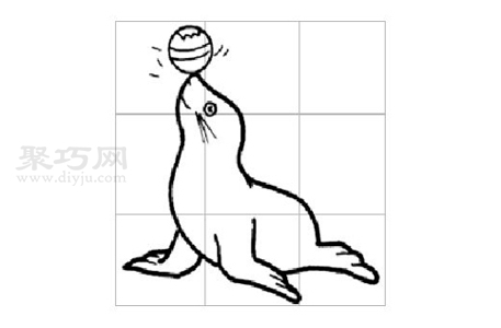 海豹画法教程 一起来学海豹简笔画