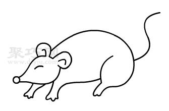 幼儿画老鼠教程 一起来学老鼠简笔画