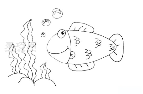 海草和小鱼如何画简单又漂亮 来学海草和小鱼简笔画画法