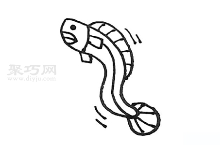 鳗鱼简笔画