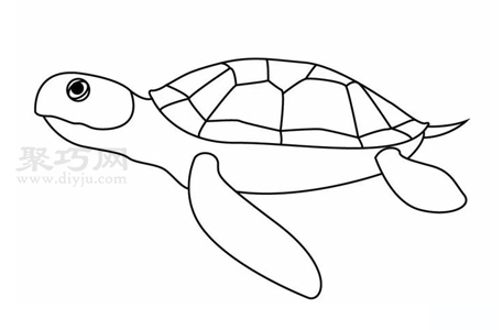 海龟画法步骤 一起来学海龟简笔画